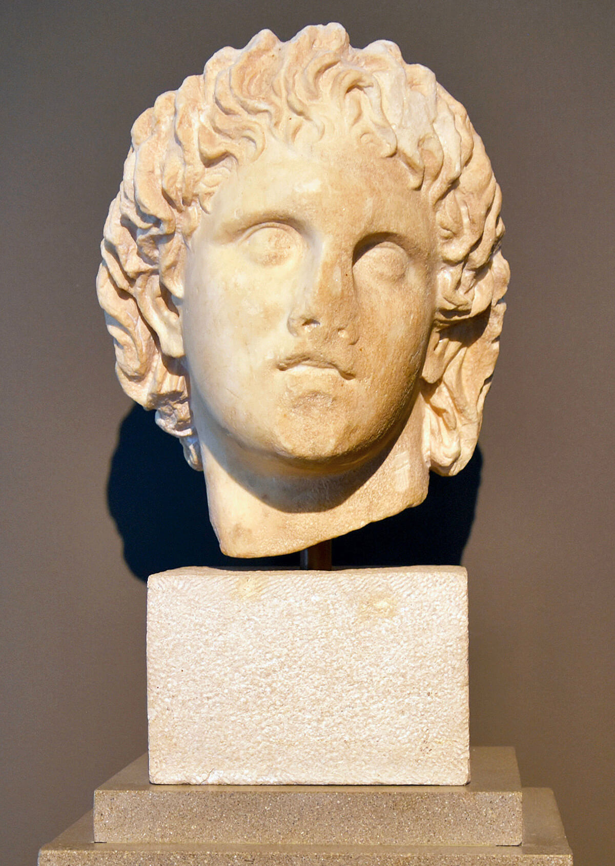 Bust of Alexander
