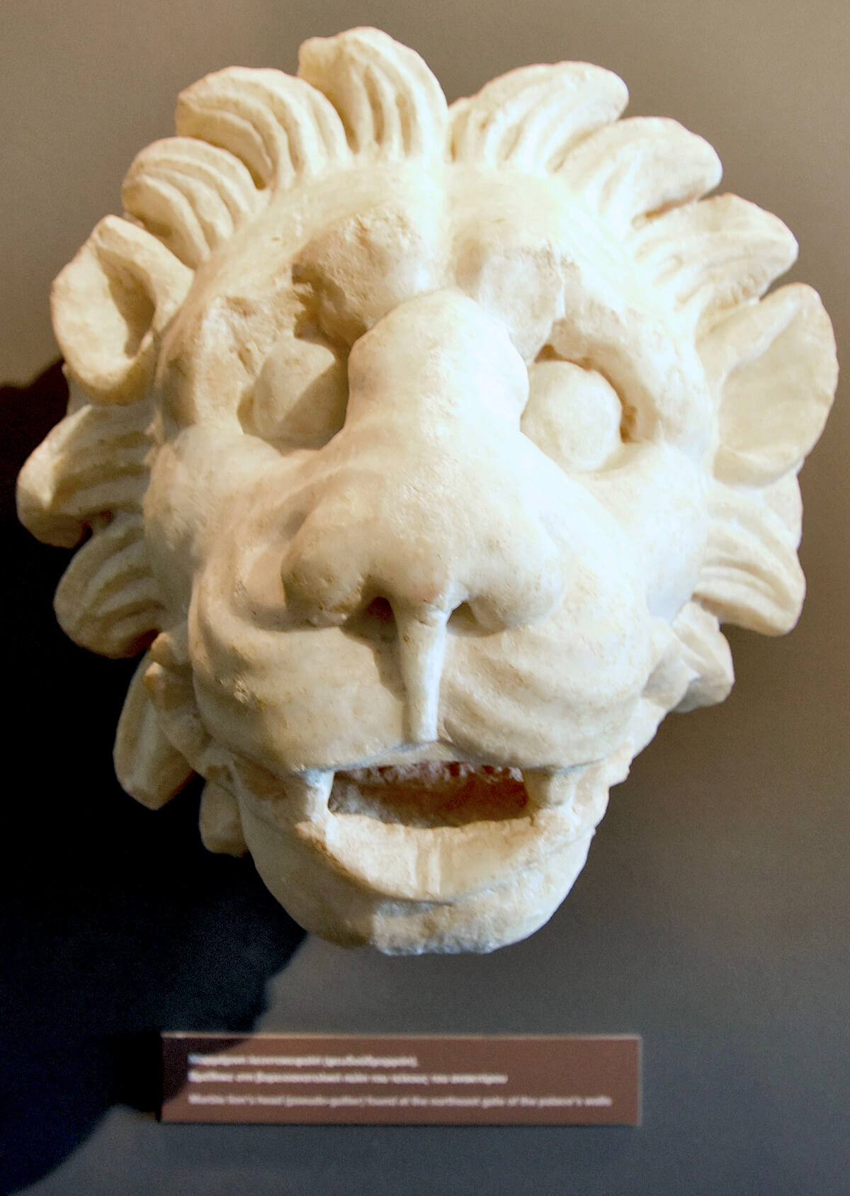 Lion's Head Water Spout