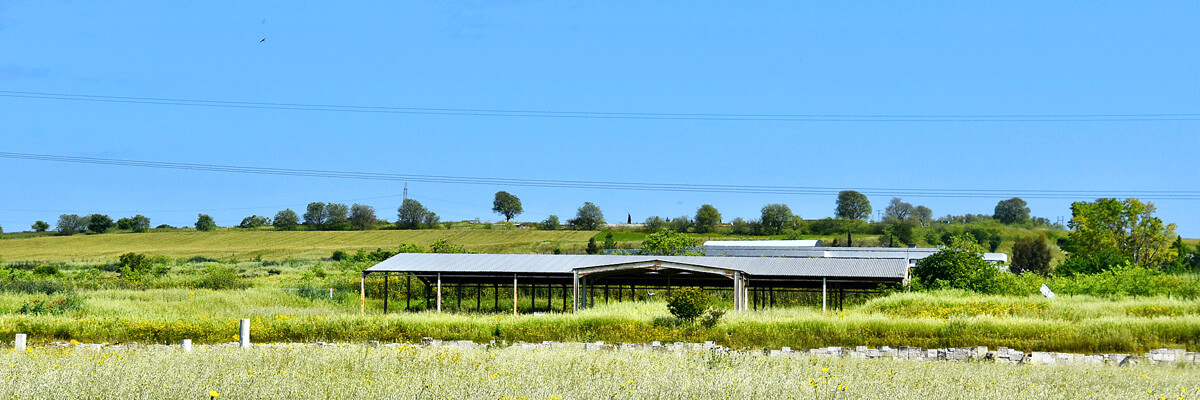 Hill Where the Palace Stood – Birthplace of Alexander