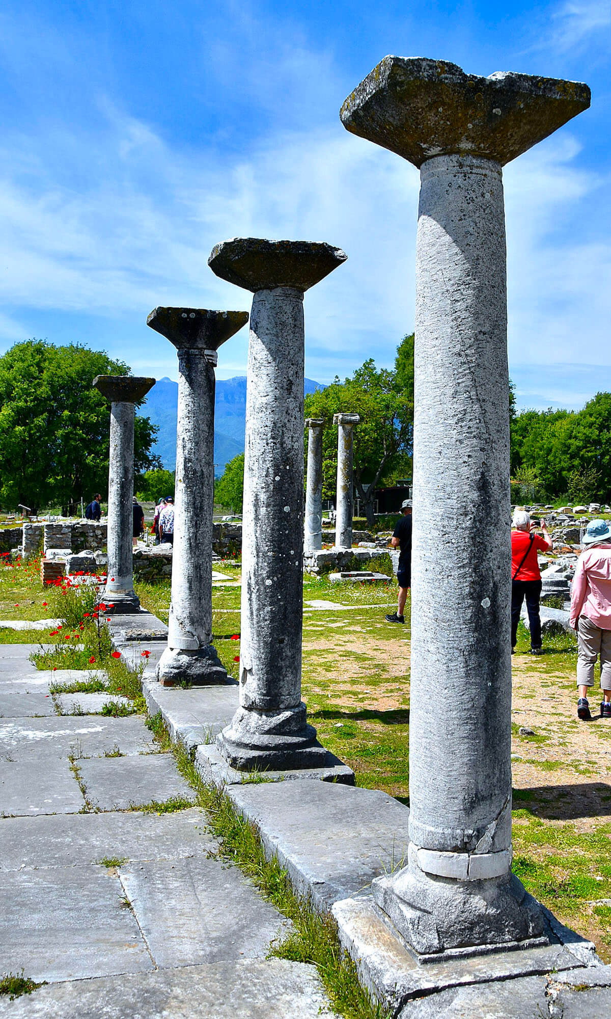 Four Doric Columns