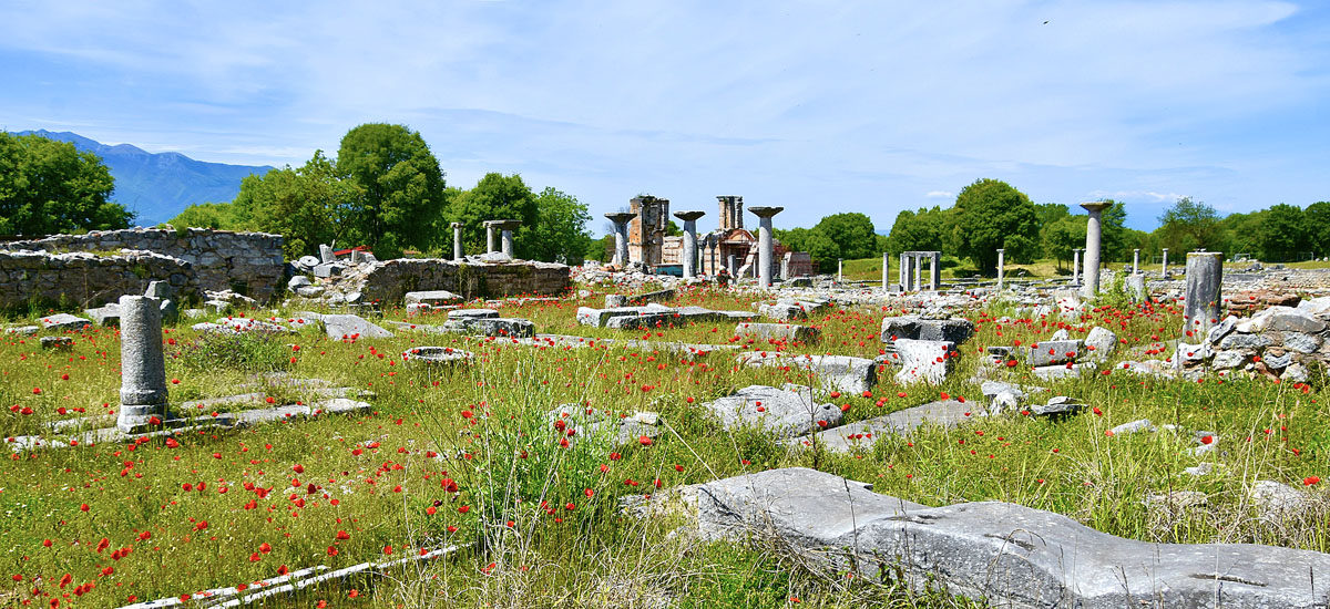 Ruins & Poppies