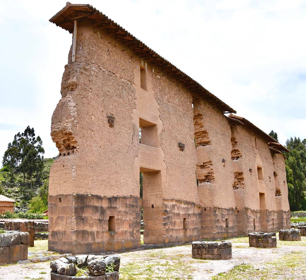 Back View