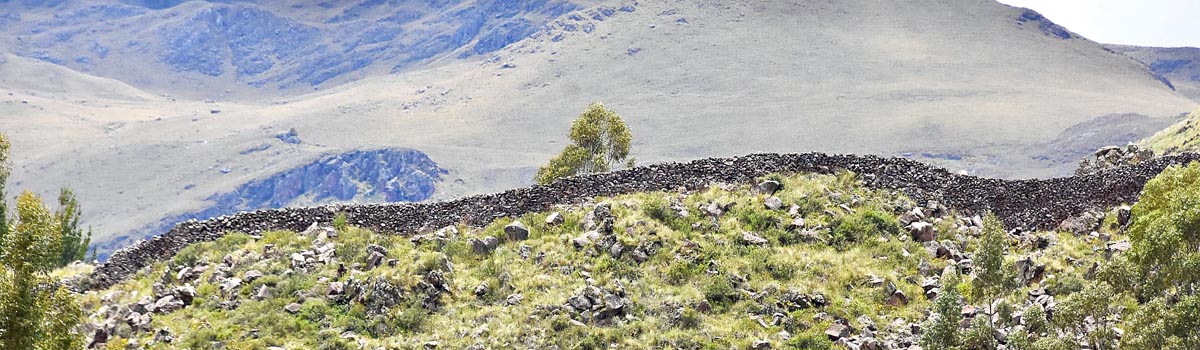 Wall Surrounding Raqchi