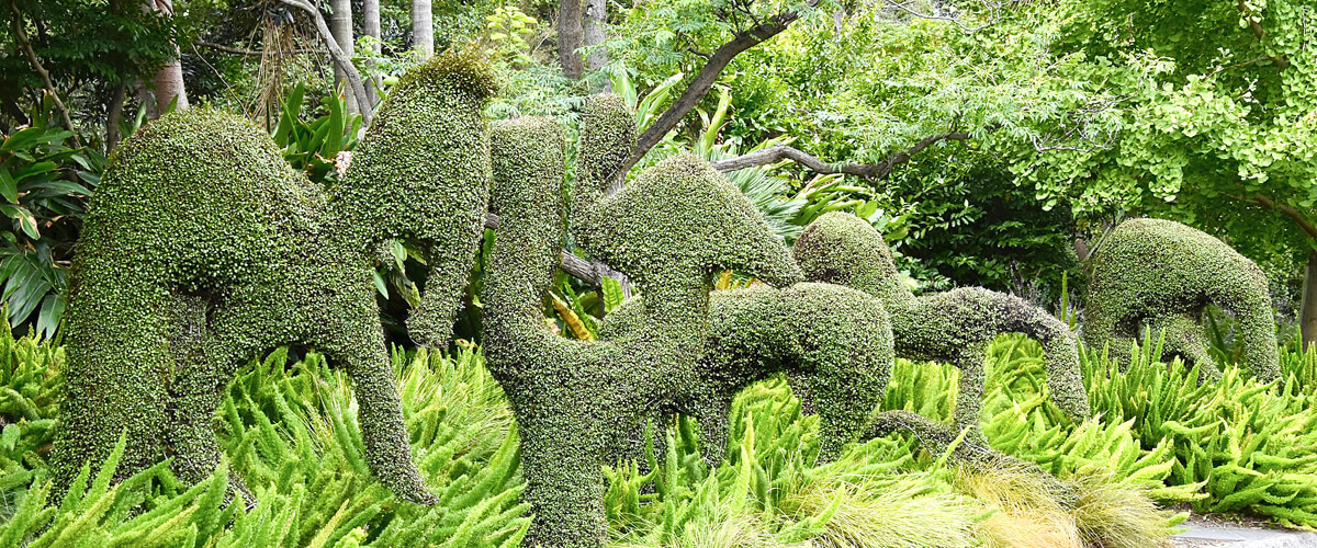 Topiary Garden