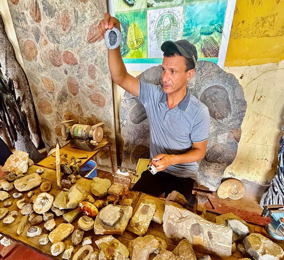 Fossils, Fossils, Fossils