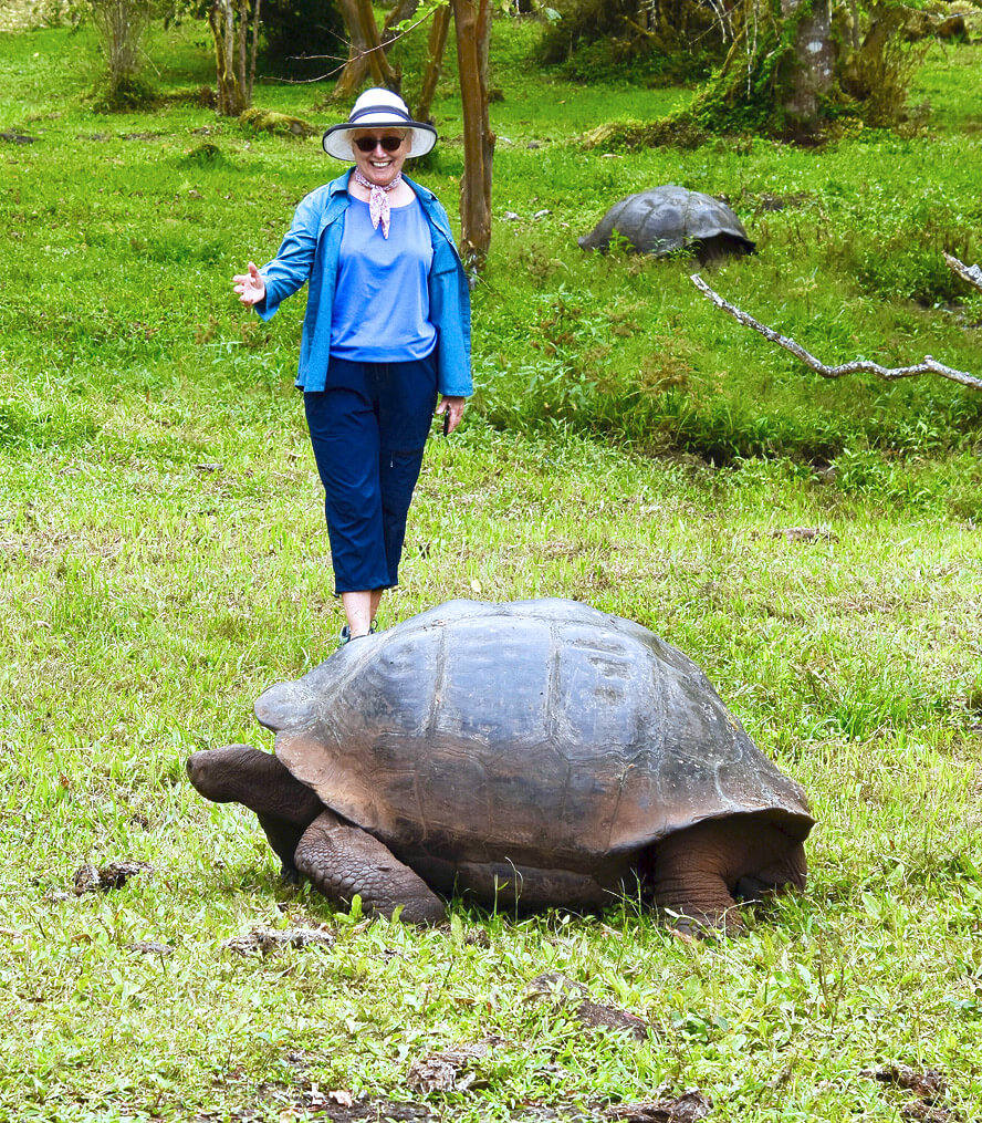 Alison & Tortoise