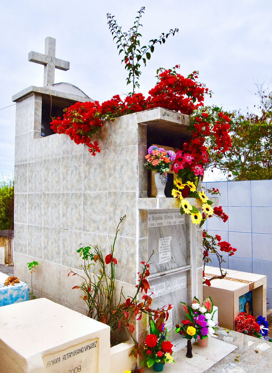 Cemetery – Tomb with Bougainvillea