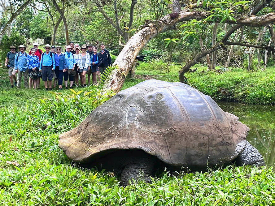Group Shot with Tortoise