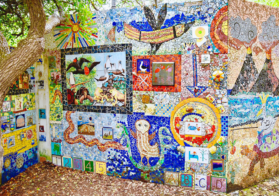 Flora and Fauna of Santa Cruz