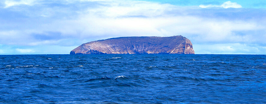 One of the Four Brothers