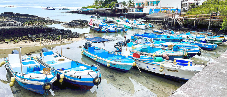 Santa Cruz Fishing Boats