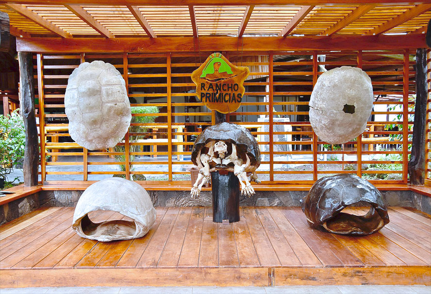 Tortoise Shells for Climbing In