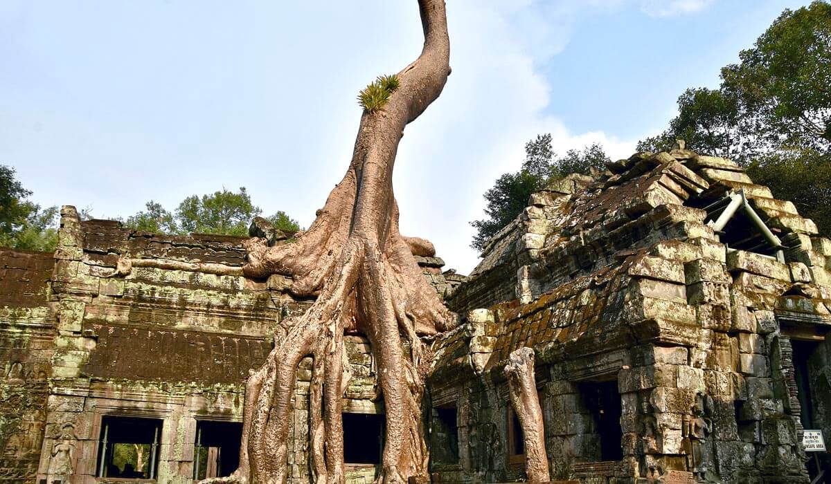 Strangling the Ruins