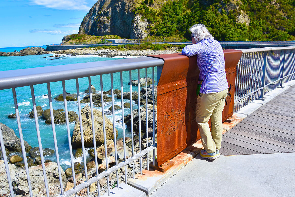 Looking at Fur Seals