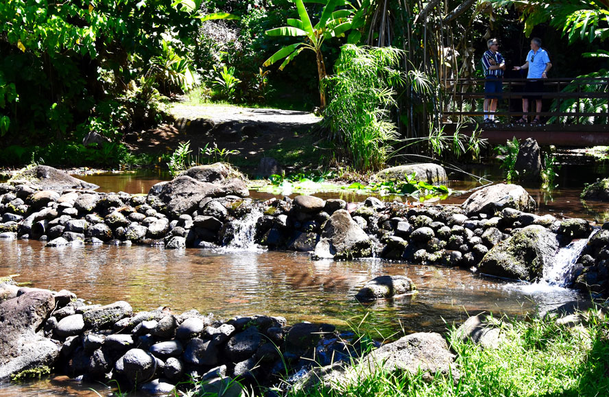 Martin & Scott at Vaipahi