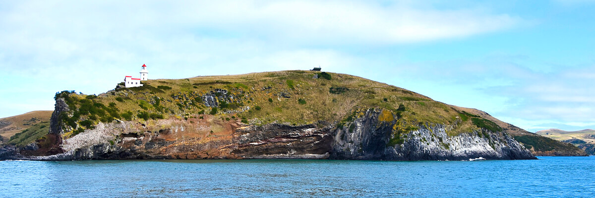 Taiaroa Head