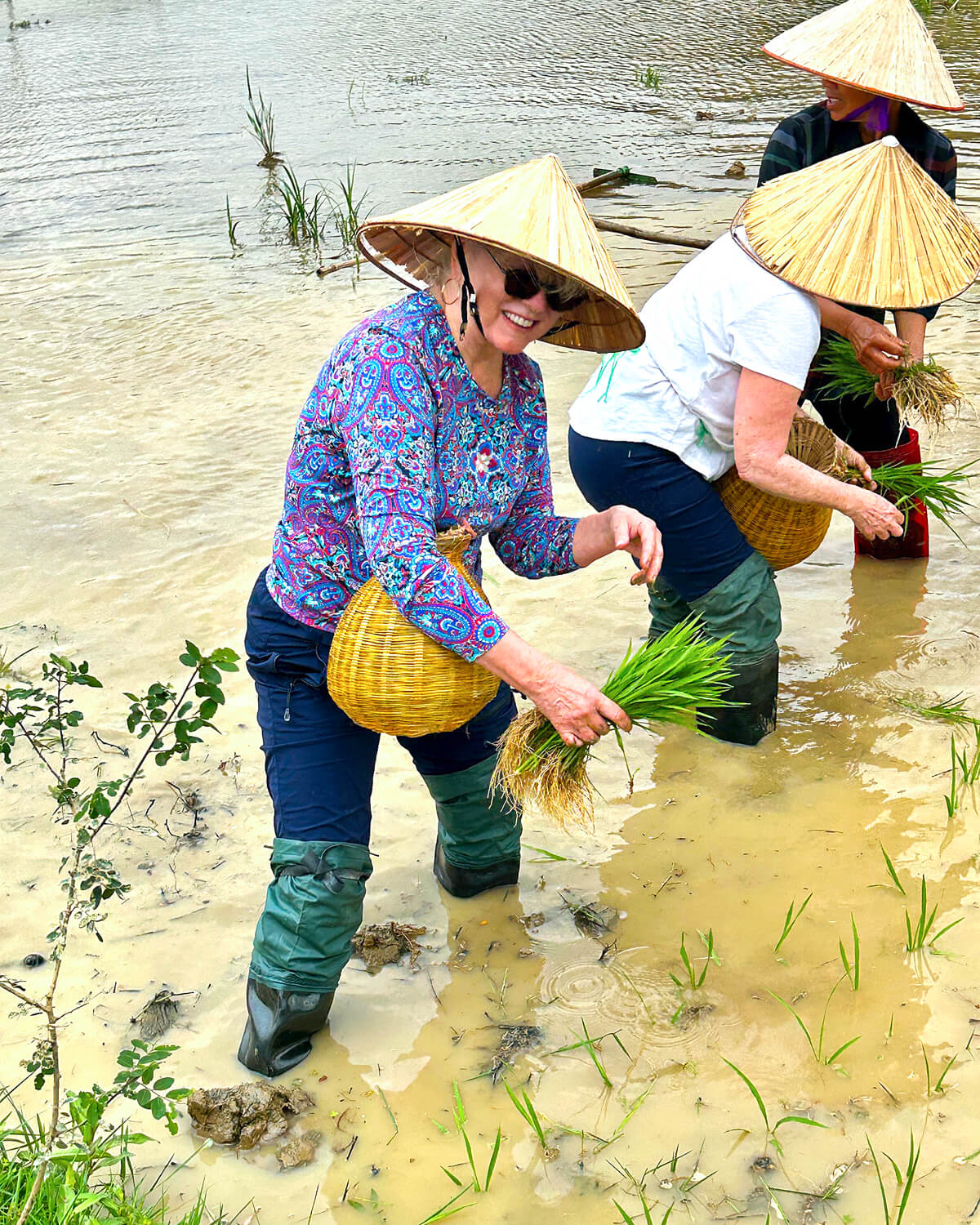 Alison the Rice Farmer