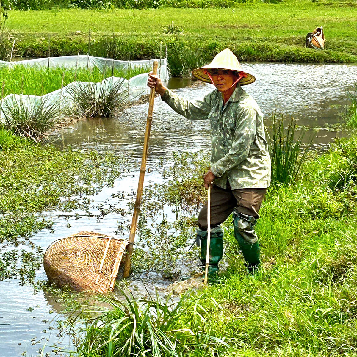 Dredging for Snails
