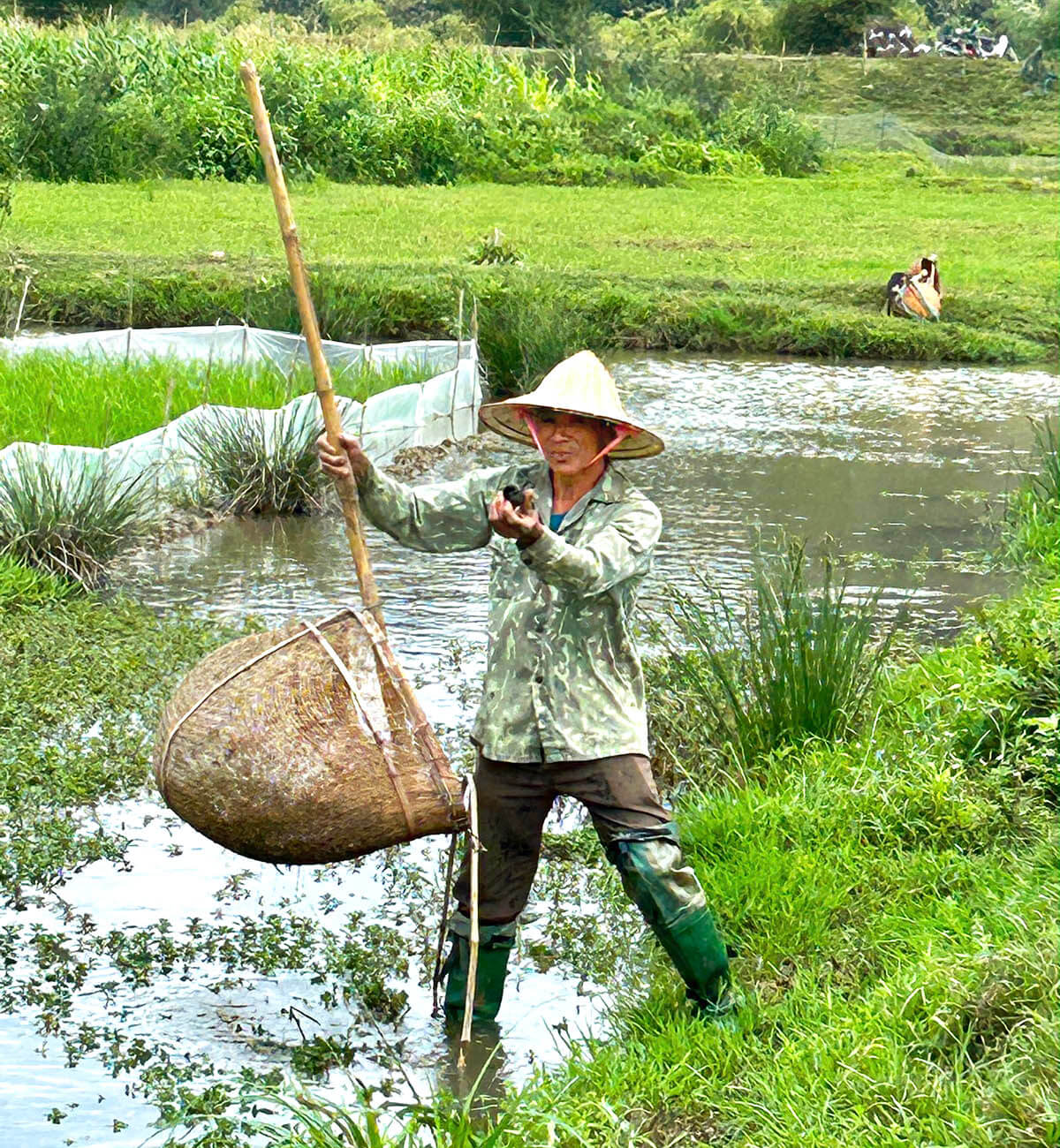 Successful Snail Hunt