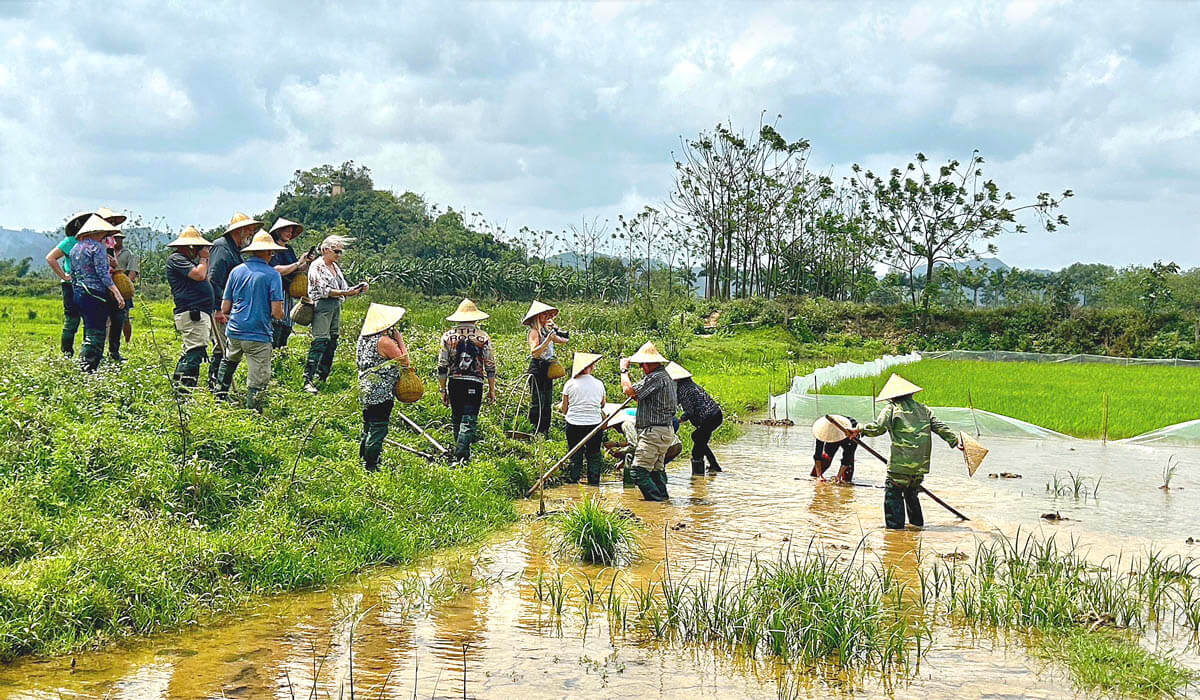Preparing the Rice Field