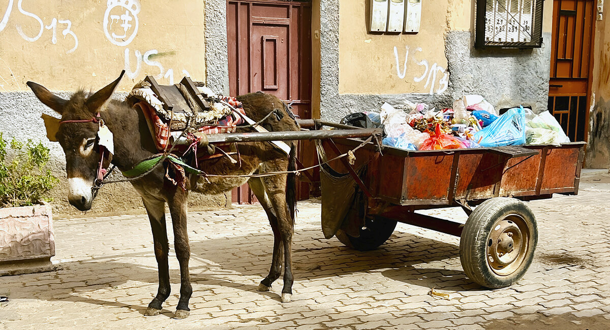 Medina Garbarge Truck