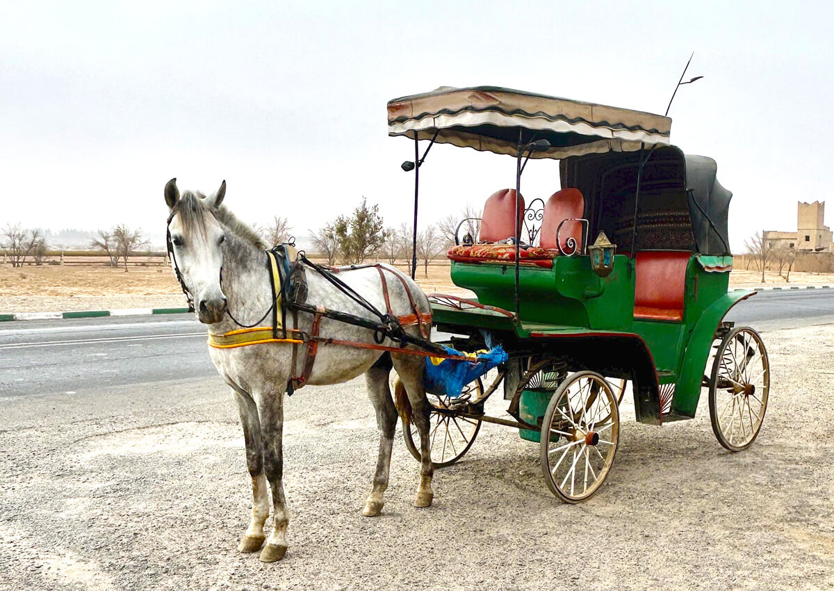 Our Tauroudant Taxi