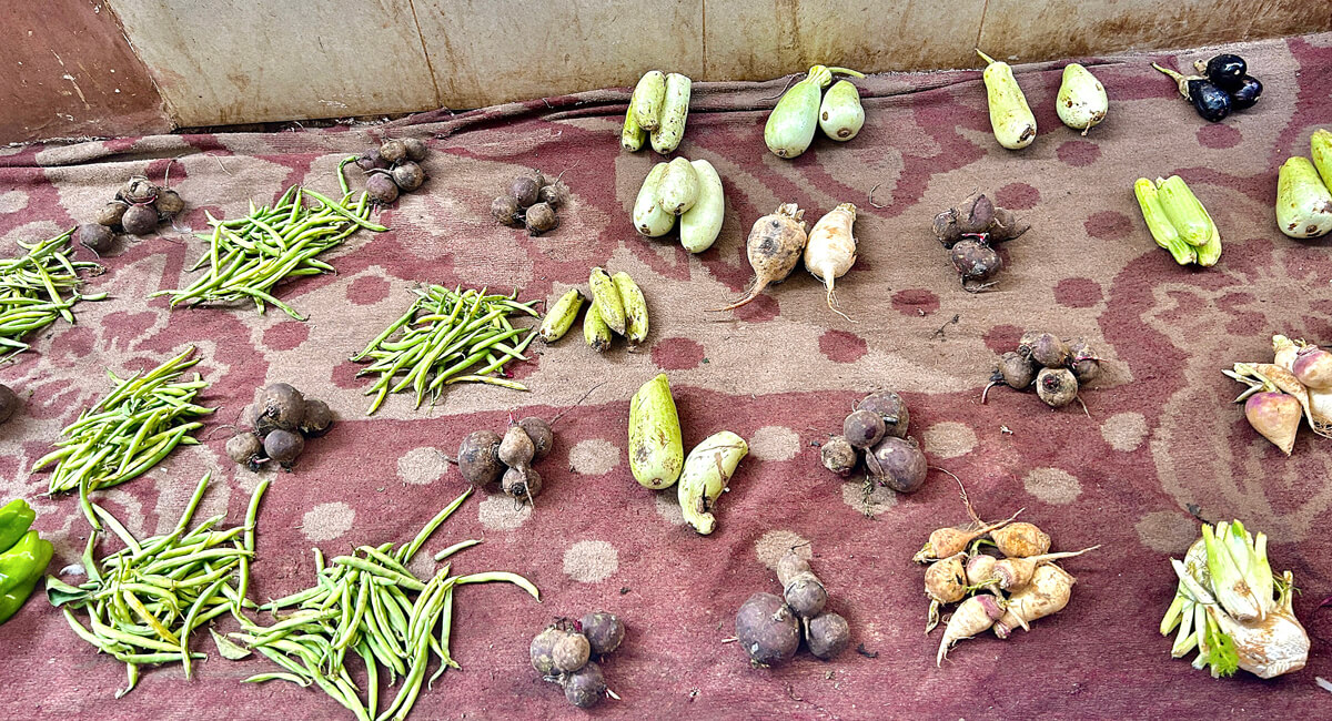 Yesterday's Produce