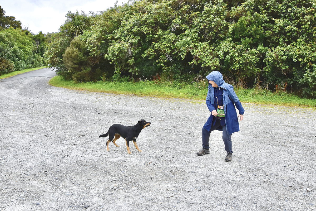 Alison Playing with Ollie