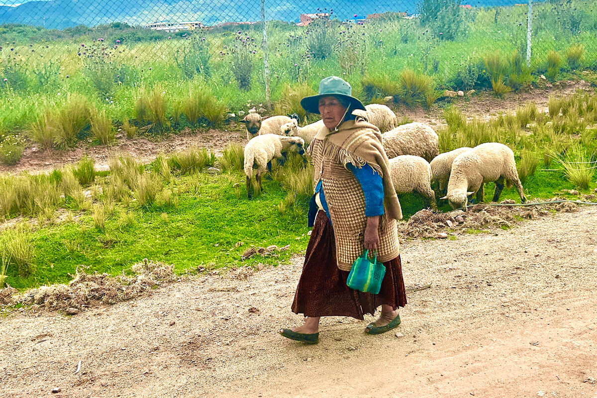 Bolivian Shepherdess
