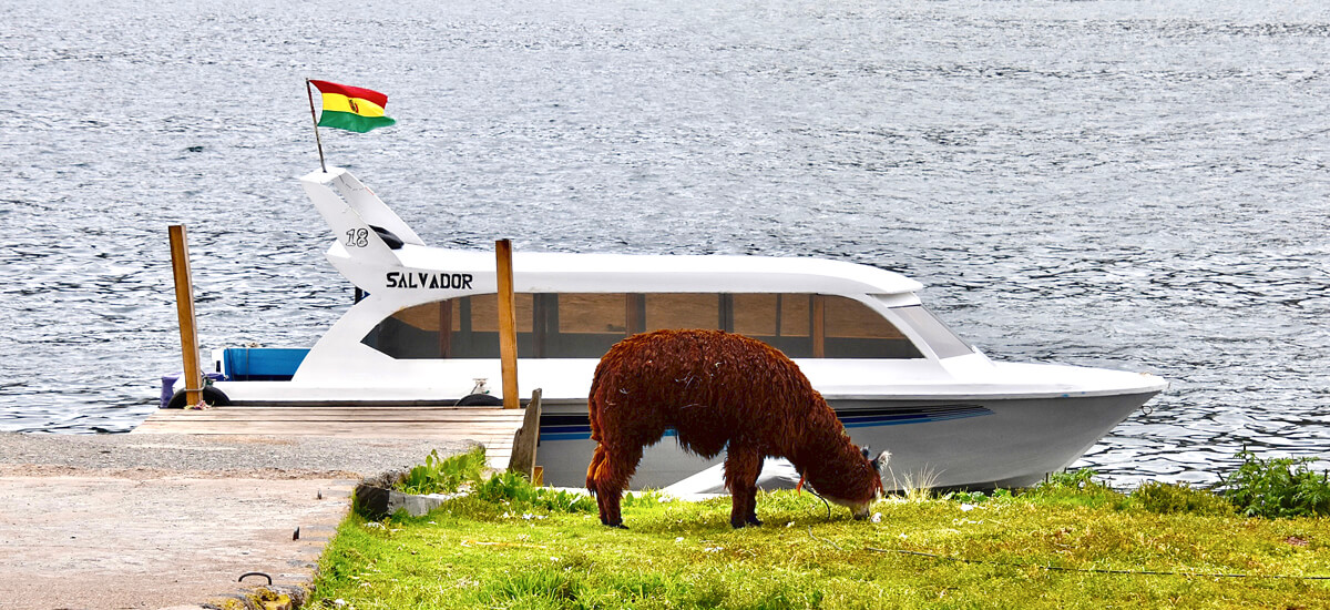 Our Passenger Ferry