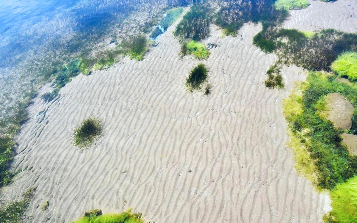 Clear Water