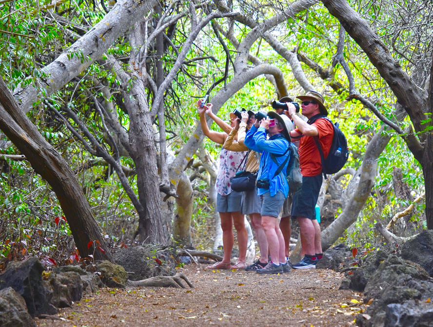 Adventures Abroad Birders