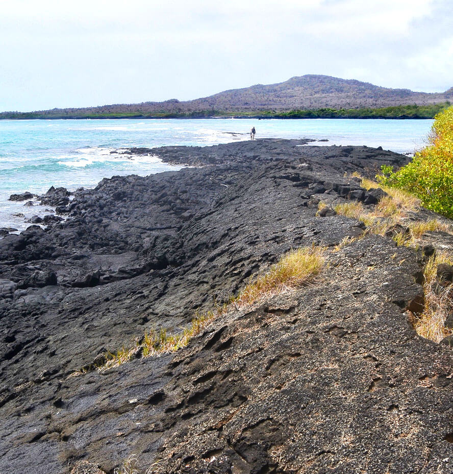 Top of the Lava Tube