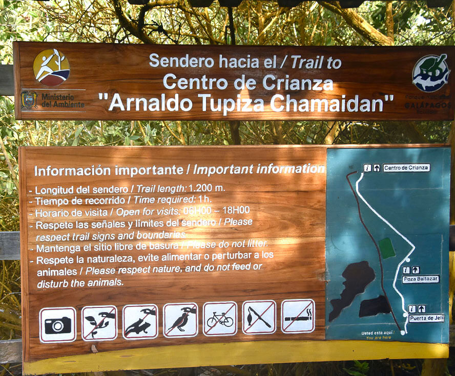 Trail to the Tortoises