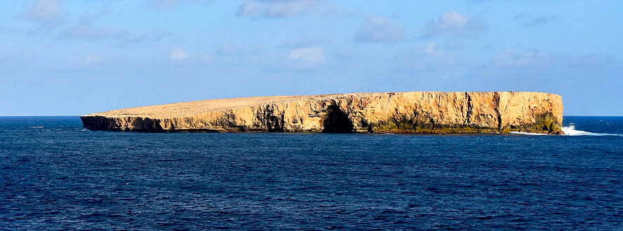 Flat Top Sea Bird Colony