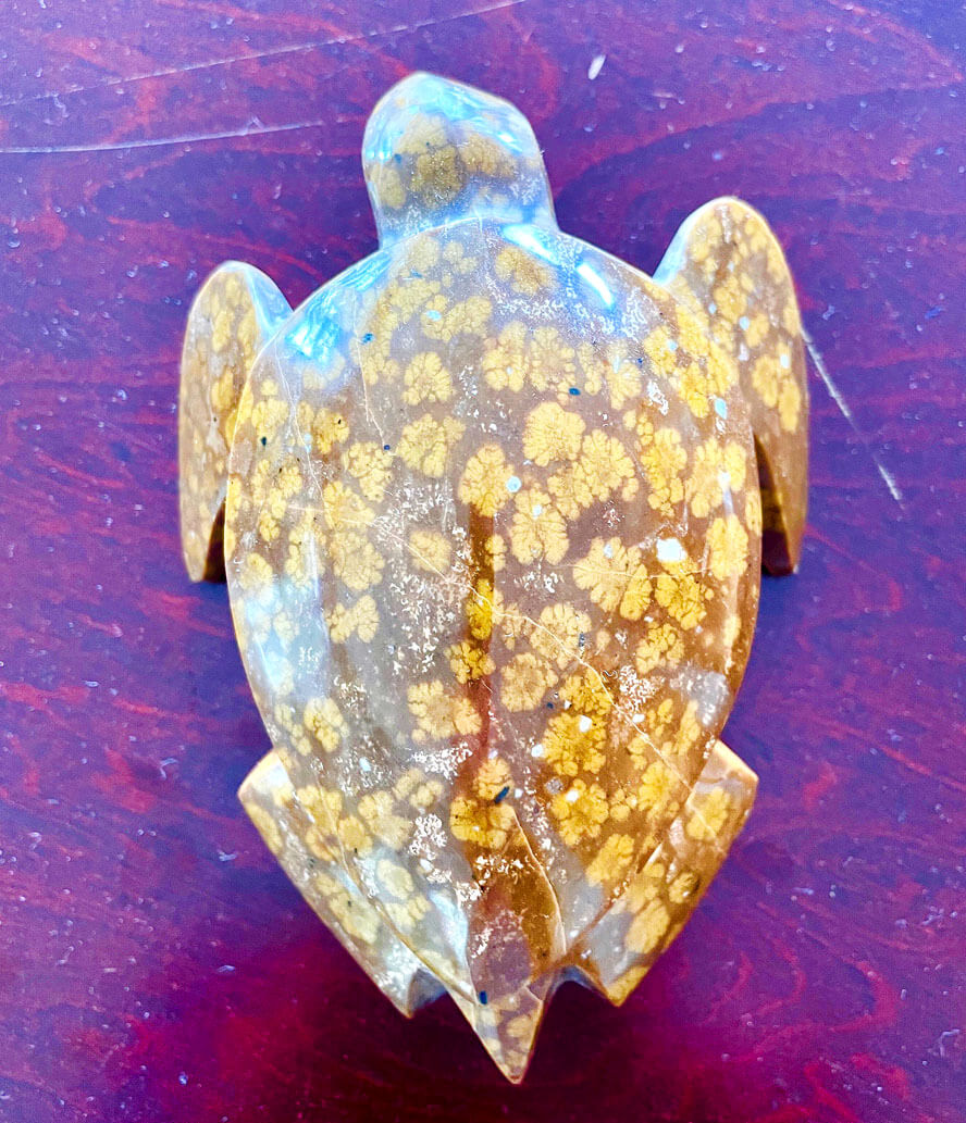 Flower Stone Sea Turtle