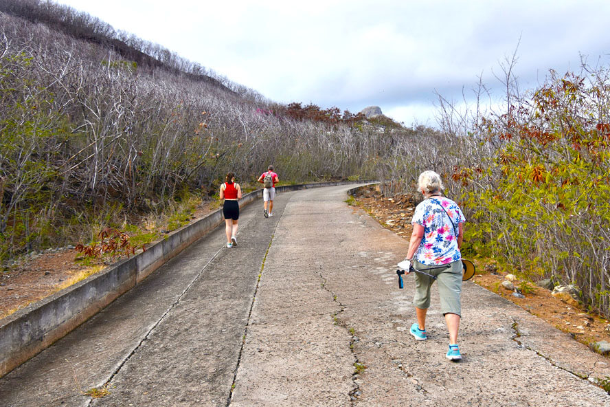 On the Way to the Cross