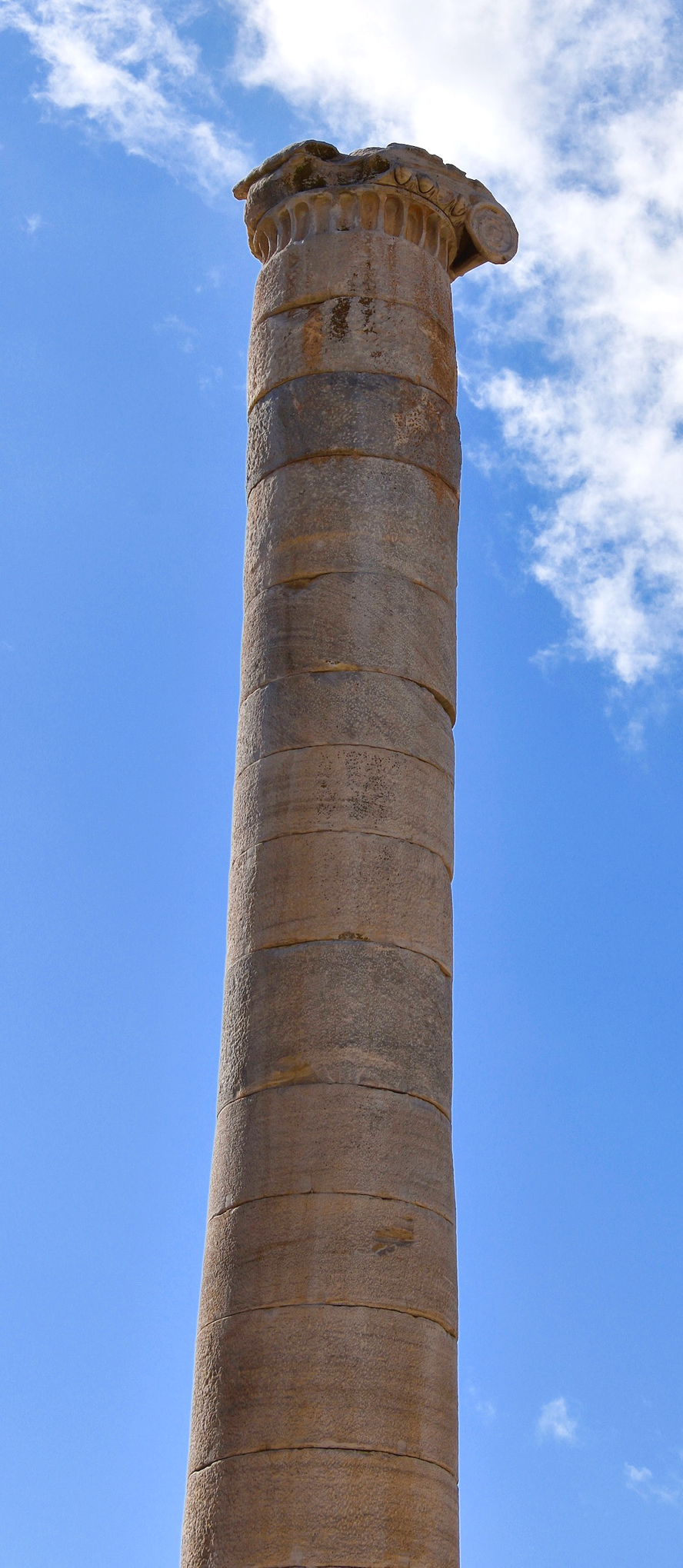 Unfinished Column. Didyma & the Oracle of Apollo.