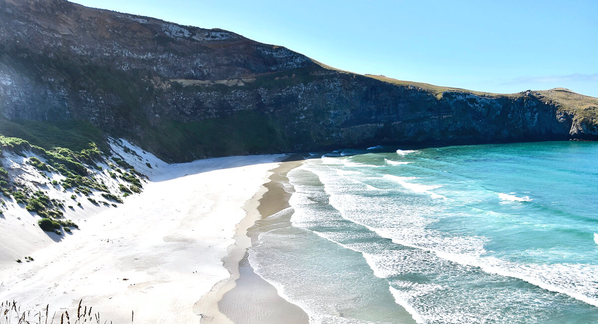 Deserted Beach, Otago Peninsula