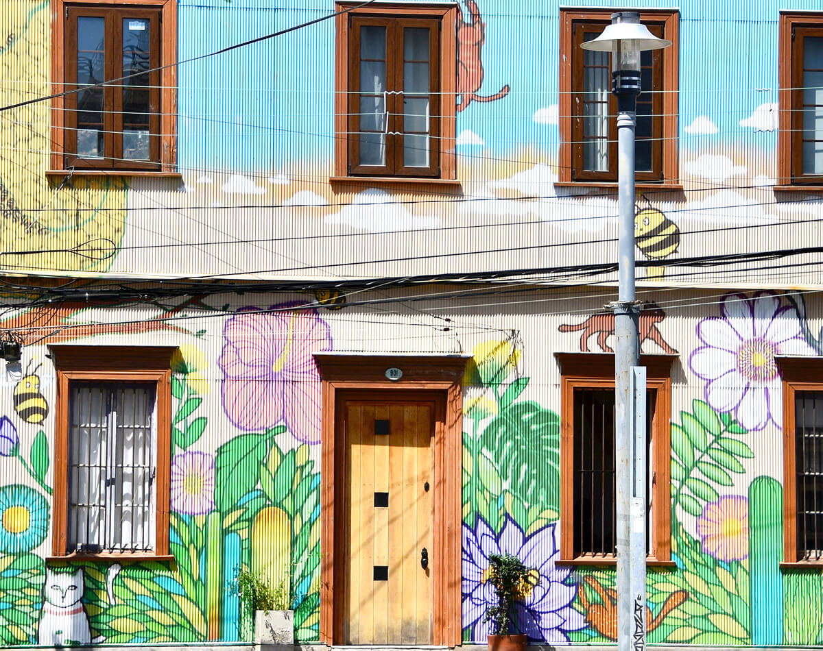 Painted Corrugated Zinc Building