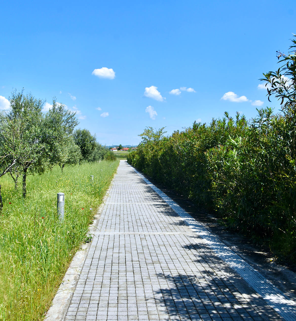 Pathway to the Central Museum