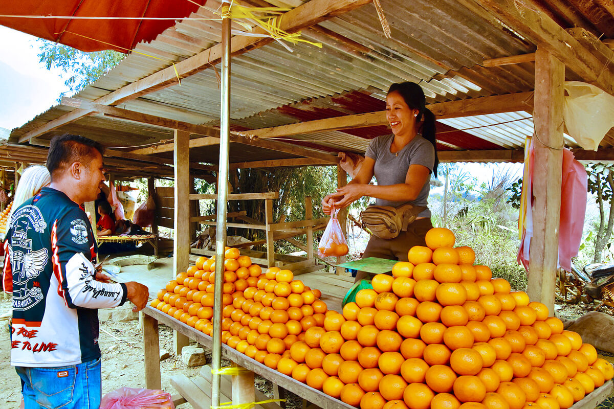 Orange Vendor