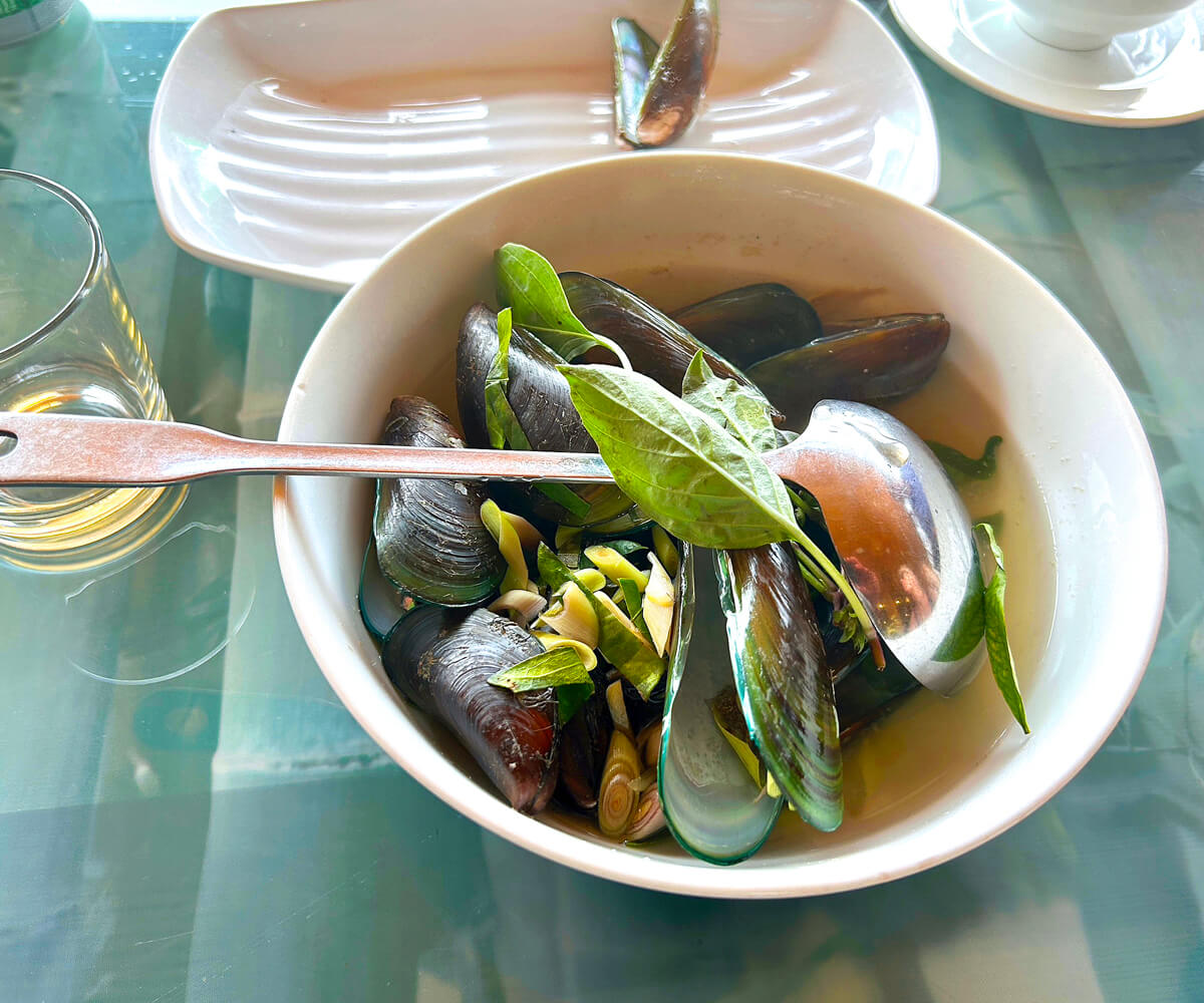 Mussels