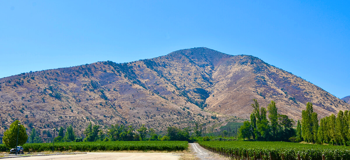 Mountain overlooking the Winery
