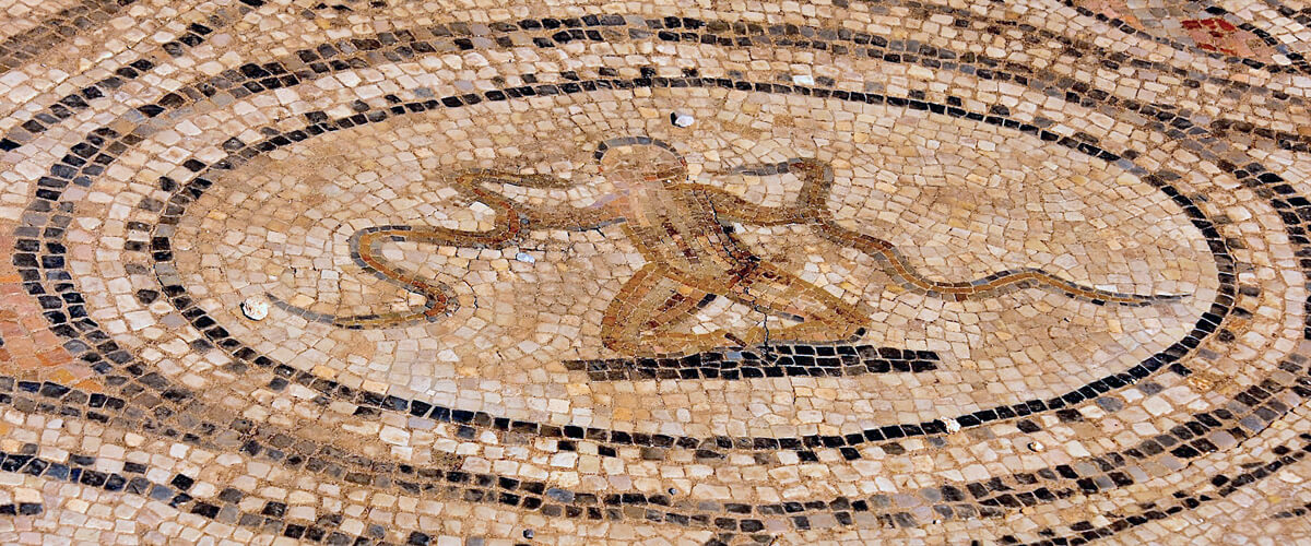 Killing the Snakes as a Baby