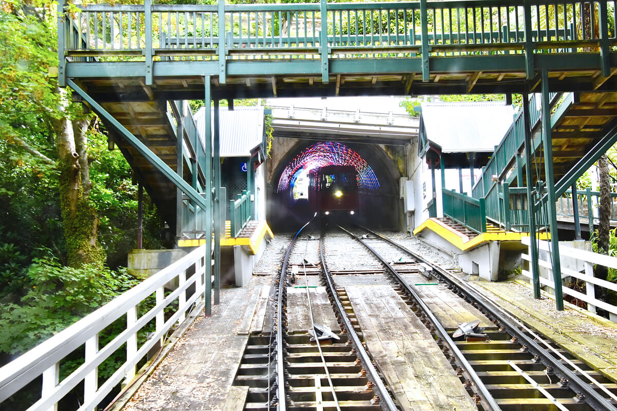 On the Wellington Cable Car