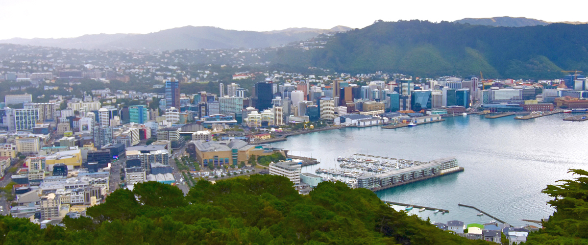 Wellington from Mount Victoria