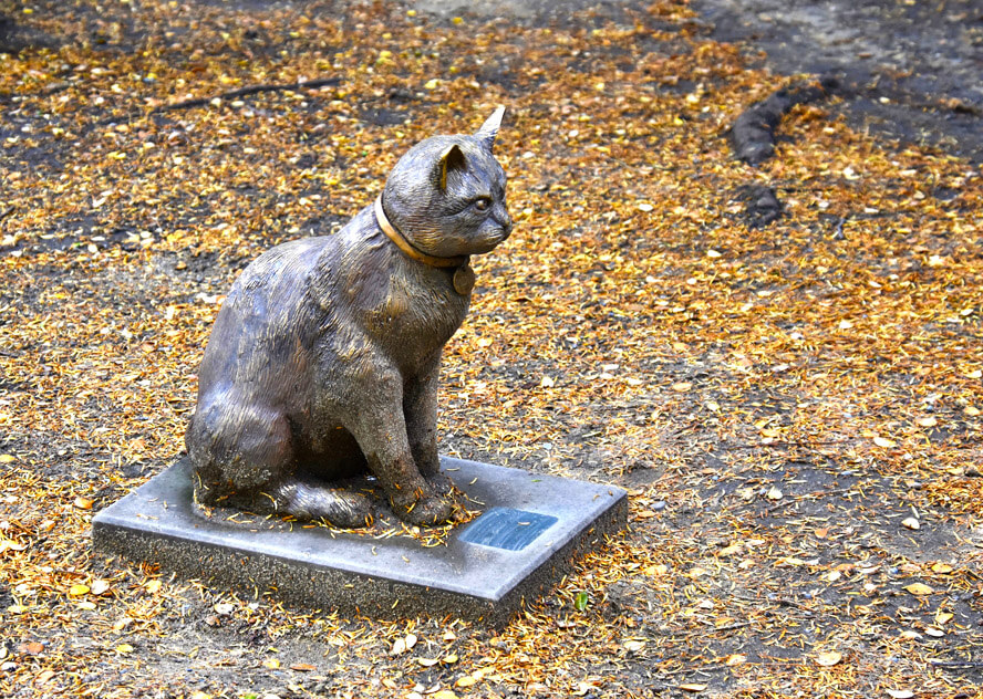 Adventures Abroad Blog Small Group Tours, Travel Insights