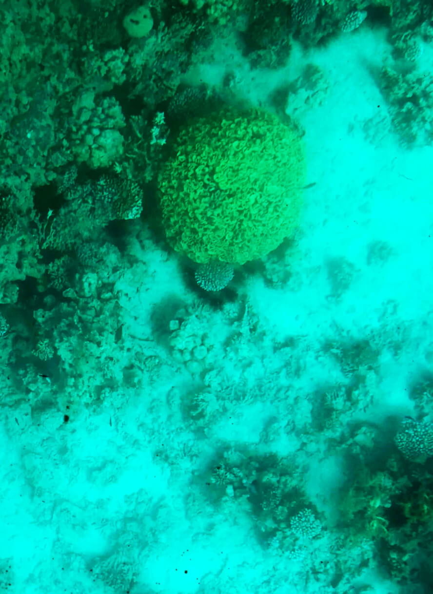 Underwater: The Ancient Cities, Vast Deserts, and Salty Seas of Jordan.