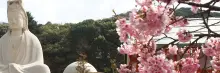 Japan Group Tours
